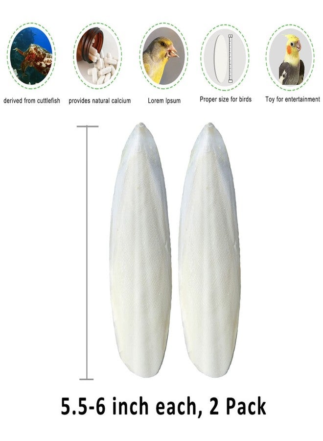 Mivofun 2 Pack Cuttlebone with 3 in 1 Food Holder, Natural Cuddle Bones for All Pet Birds Cockatiels Parakeets Budgies Finches(5.5~6 Inch, Midium Size) - Image 2